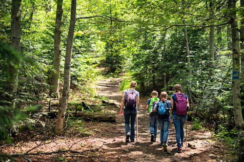 Students walking down nature path