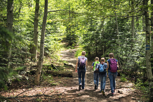 Students walking down nature path